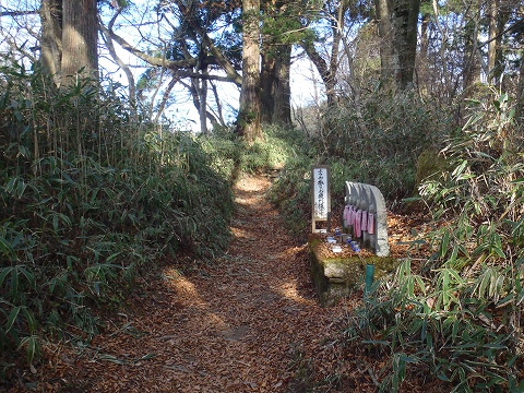 金剛山（千早本道・タカハタ谷ルート）