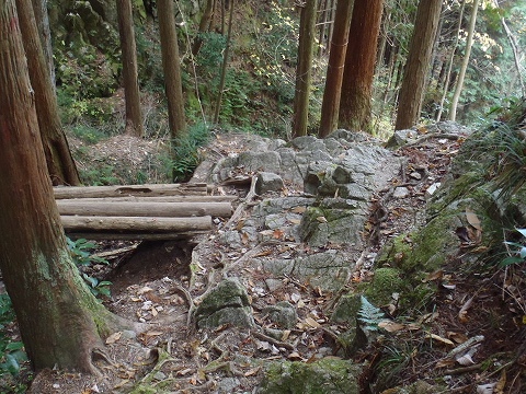 金剛山（千早本道・タカハタ谷ルート）