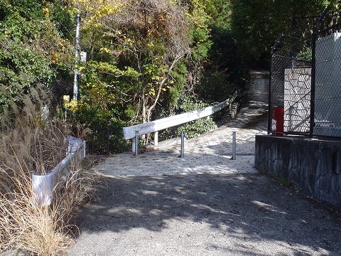 秋の愛宕山（水尾参道・表参道）登山