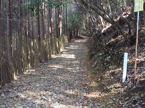 秋の愛宕山（水尾参道・表参道）登山