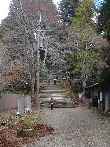 秋の愛宕山（水尾参道・表参道）登山