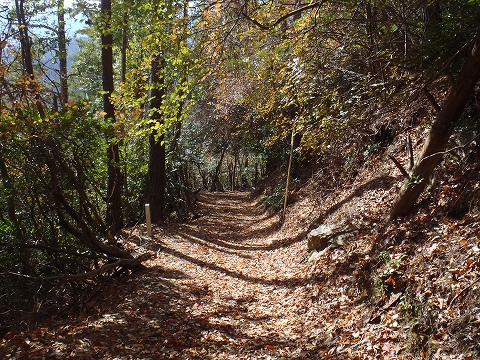 秋の愛宕山（水尾参道・表参道）登山