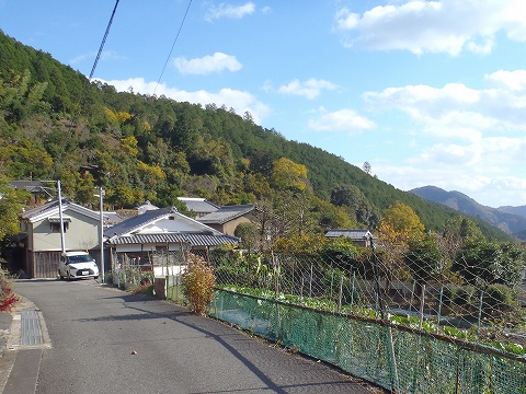 秋の愛宕山（水尾参道・表参道）登山