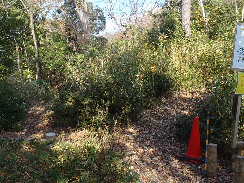 秋の生駒山（宮川谷・摂河泉展望コース）登山（前編）