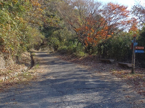 秋の生駒山（宮川谷・摂河泉展望コース）登山（前編）