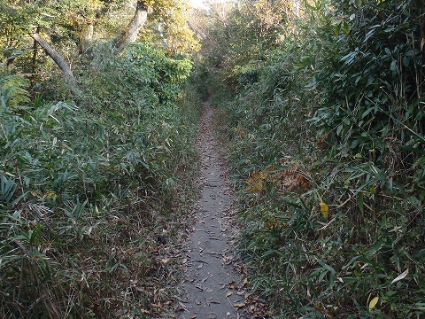 秋の生駒山（宮川谷・摂河泉展望コース）登山（後編）