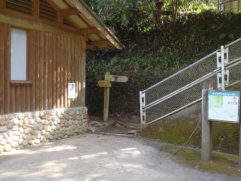 秋の（カキザコ尾根・林道滝畑横谷線）登山