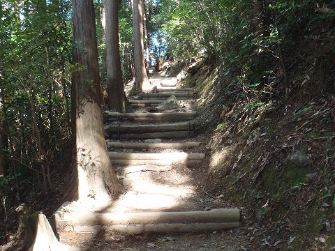 秋の岩湧山（カキザコ尾根・林道滝畑横谷線）登山