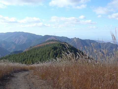 秋の岩湧山（カキザコ尾根・林道滝畑横谷線）登山