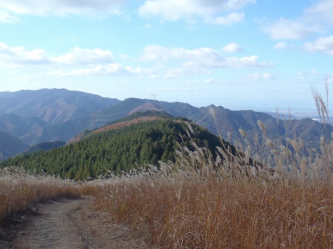 秋の岩湧山（カキザコ尾根・林道滝畑横谷線）登山