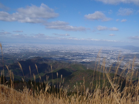 秋の岩湧山（カキザコ尾根・林道滝畑横谷線）登山