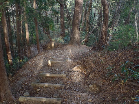 秋の岩湧山（カキザコ尾根・林道滝畑横谷線）登山