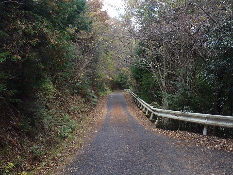 秋の岩湧山（カキザコ尾根・林道滝畑横谷線）登山