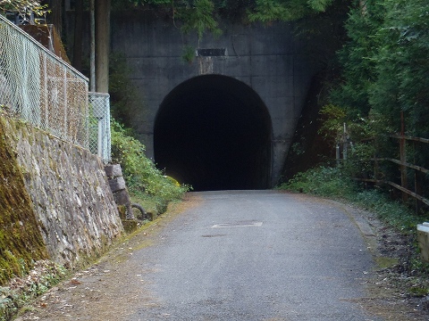 秋の岩湧山（カキザコ尾根・林道滝畑横谷線）登山