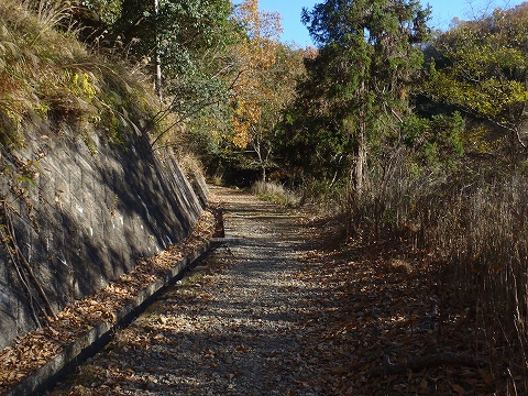 秋の妙見山（上杉尾根・沢沿いコース）登山