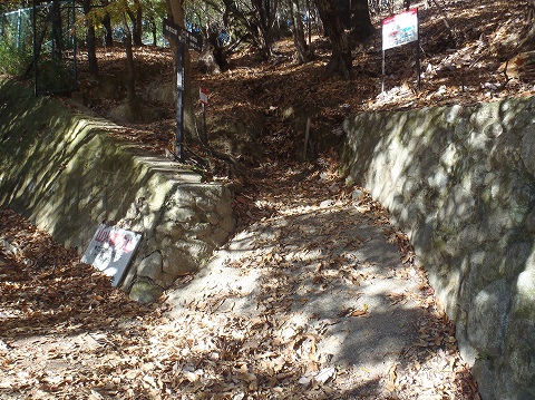 秋の妙見山（上杉尾根・沢沿いコース）登山