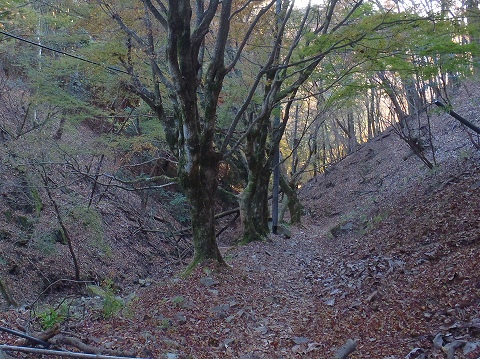秋の妙見山（上杉尾根・沢沿いコース）登山