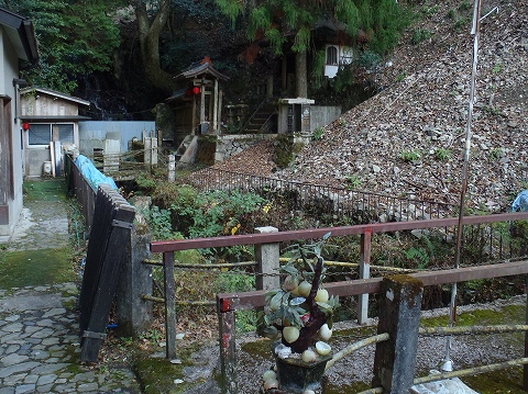 秋の妙見山（上杉尾根・沢沿いコース）登山