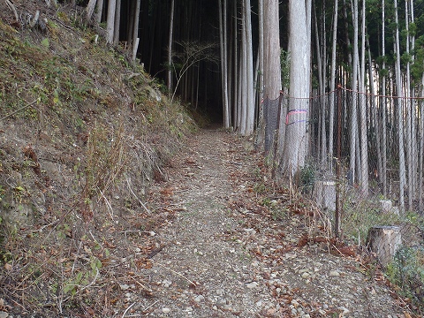 冬の貴船山（二ノ瀬駅から尾根経由）登山