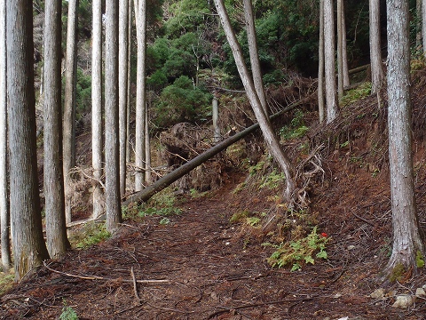 冬の貴船山（二ノ瀬駅から尾根経由）登山