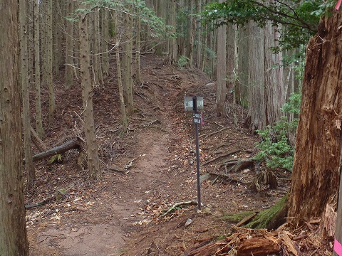 冬の貴船山（二ノ瀬駅から尾根経由）登山