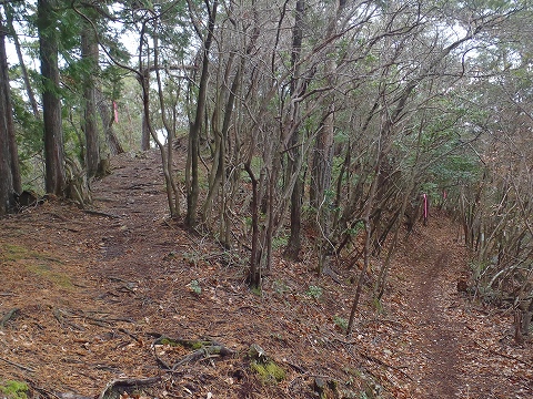 冬の貴船山（二ノ瀬駅から尾根経由）登山