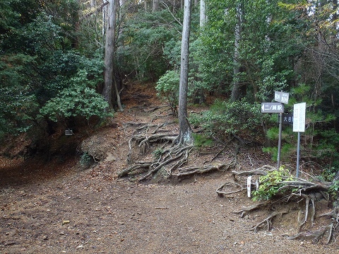 冬の貴船山（二ノ瀬駅から尾根経由）登山