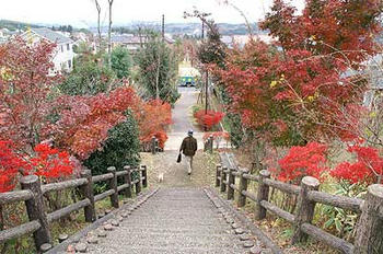 基礎