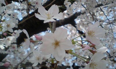 080406-1.jpg