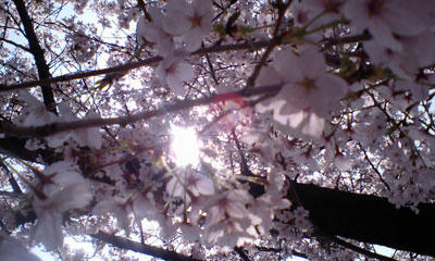 080406-2.jpg