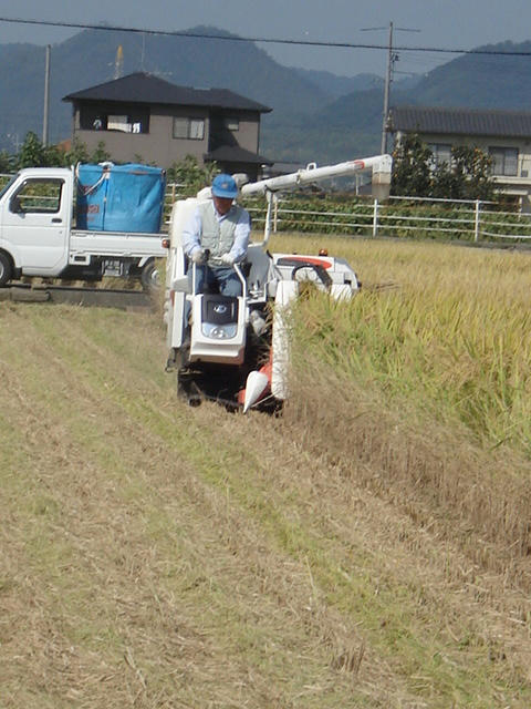 みるみる刈られていきます