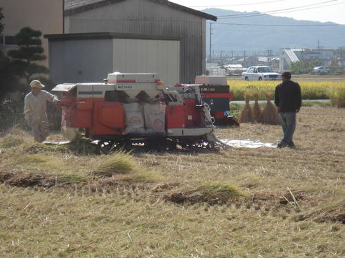 稲刈り後も次の作業が大変