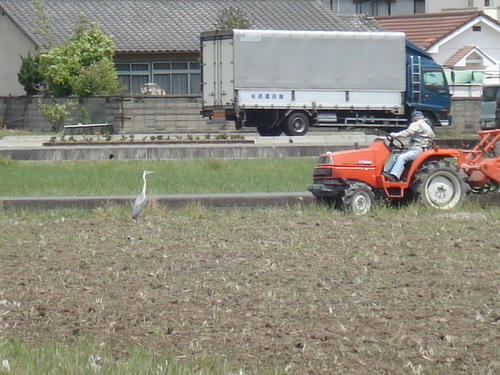 DSC01730.JPG