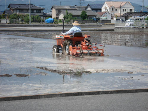 二度目の耕し