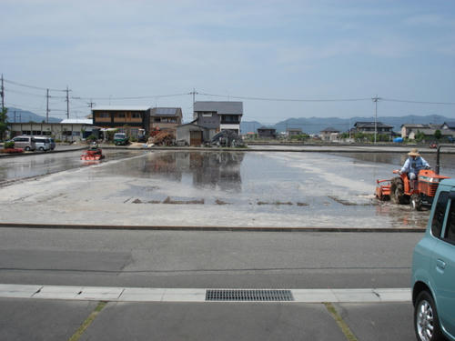 店の北の田です