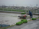 田植えの準備