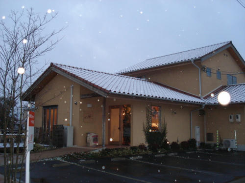 静かに雪が舞い降りる