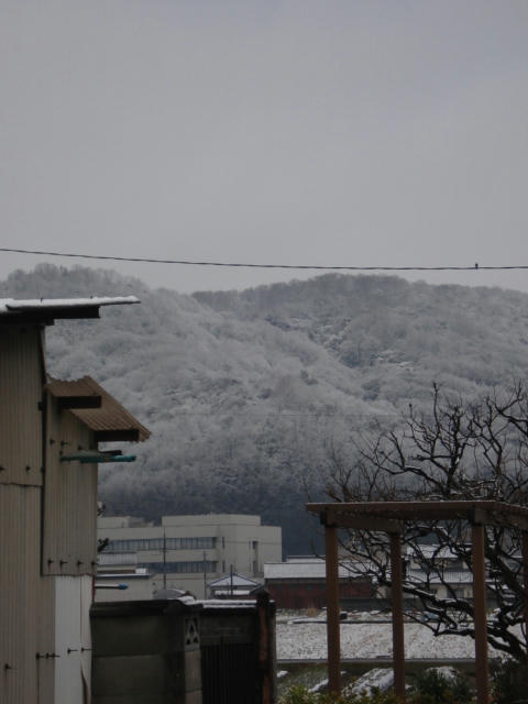 １１日朝