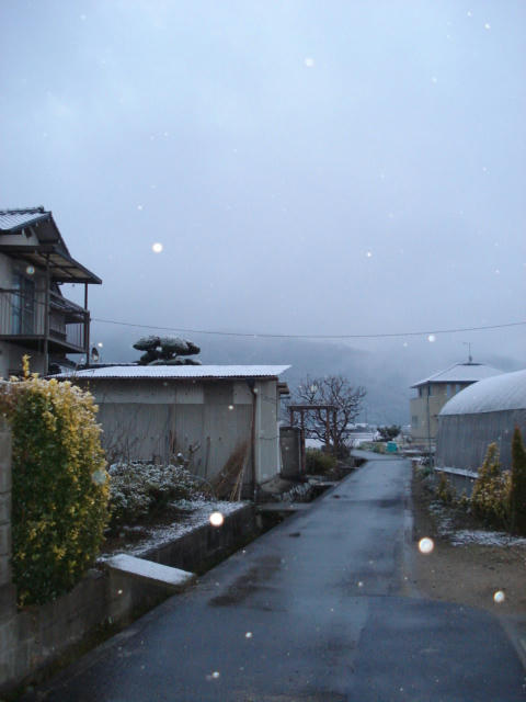 １２日朝
