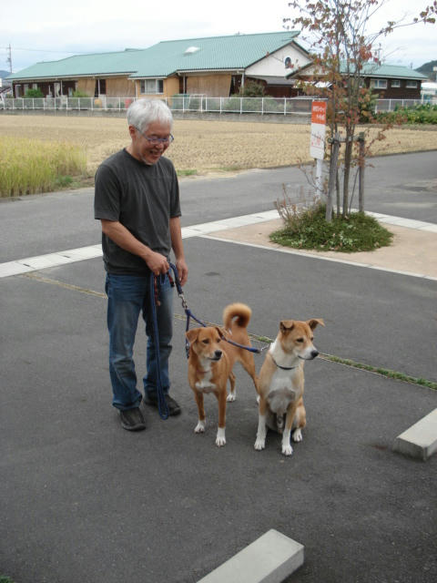 ワンちゃん達同じ方向を見てますねぇ
