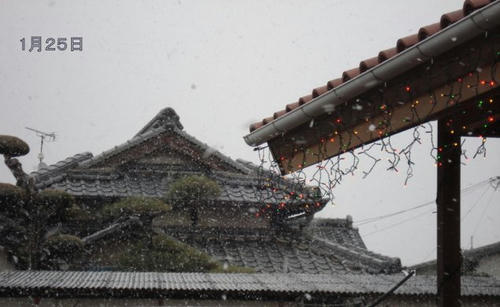 ちょっとした降雪