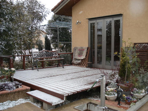 わずかに積もった雪