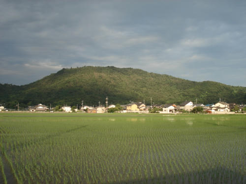 福山の麓の田