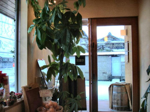 店内からも見えます