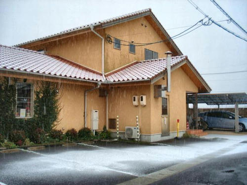 うっすらと積もっています