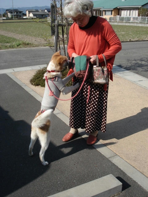 ハッピーちゃん背が高～い