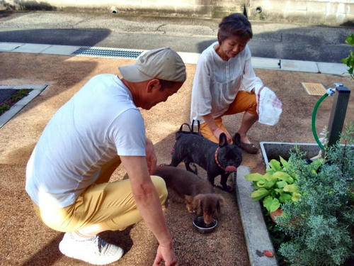 近所を散歩した後で美味しいお水を
