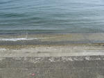 IMG_0285.JPG