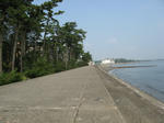 IMG_0288.JPG