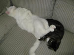 IMG_1427.JPG
